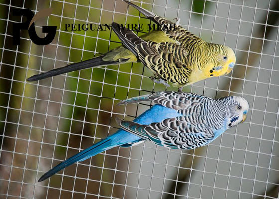 Malla de alambre con poco carbono 12.7mmx12.7m m del hierro para las jaulas de las aves de corral